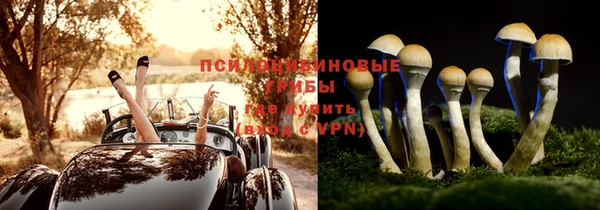 бошки Верхний Тагил