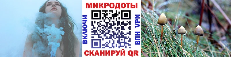 Галлюциногенные грибы Cubensis  Выборг 